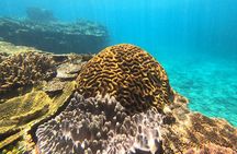 Okinawa's Gorgeous Beach & Snorkel Tour: Private & Customised
