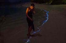 Experience the Sunset and Plankton Bioluminescent Night Kayak