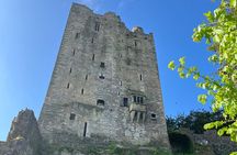 Blarney Castle and Cork Badge of Excellence winning minibus tour 