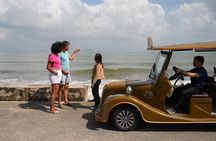 HoiAnGO Experience Local Life: Coastal by Electric Car