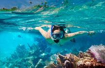 From Hoi An/Da Nang: Amazing Cham Island Snorkeling Tour