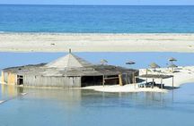 Adventure in Swin Car Djerba 100% ELECTRIC