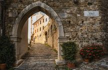 Motovun Area Hiking Tour with a Historian