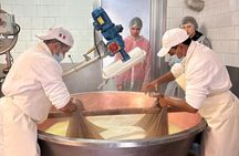 Parma Food Tour: Parmigiano Reggiano & Prosciutto di Parma