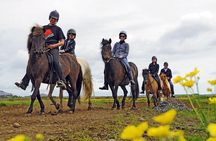 One-Hour Horseback Riding Tour in the Icelandic Countryside