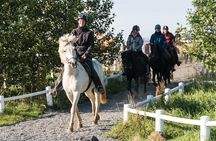 One-Hour Horseback Riding Tour in the Icelandic Countryside