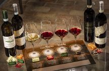 Wine & Chocolate Tour and Tasting in Alba area