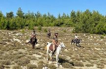 Lebanon Mountains Horseback Riding From Beirut