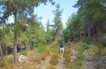Lebanon Mountains Horseback Riding From Beirut