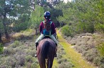 Lebanon Mountains Horseback Riding From Beirut
