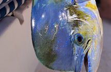 4 Hour Costa Maya Fishing and Snorkeling Experience