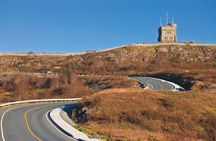 Historic St. John's Newfoundland and Cape Spear Tour