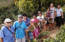 Multi Day Round Private Tour in Sri Lanka