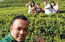 Multi Day Round Private Tour in Sri Lanka