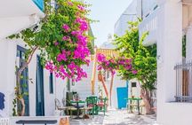 Mykonos tour: Private highlights Tour with a Local