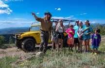 4WD Panoramic Peak Photo Tour in Estes Park