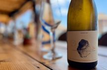 Wine Tasting and Beach Day with a Sommelier on Athenian Riviera