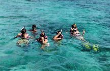 Snorkel Tulum: 2 reef point, 1 hour 20 minutes tour