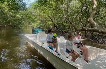 Everglades Mangrove Wilderness Boat Tour 