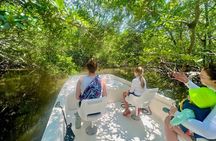 Everglades Mangrove Wilderness Boat Tour 