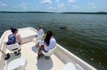 Everglades Mangrove Wilderness Boat Tour 