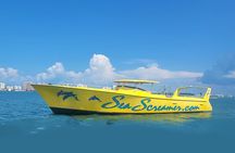Sea Screamer Clearwater's Only Speed Boat Dolphin Watching