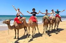 Tangier: Cap Spartel, Hercules Caves & Camel Ride