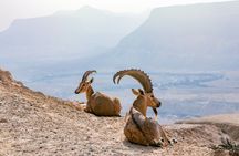 Private Muscat tour to the Grand Canyon Nizwa