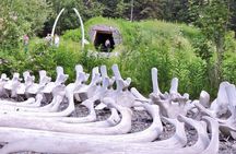 Anchorage Highlights and Indigenous Heritage