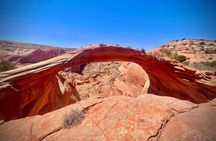 Eggshell Arch Day Tour