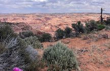 Eggshell Arch Day Tour