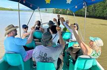 Terraba-Sierpe Mangrove Tour 