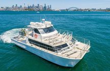 Sydney Whale Watching Adventure Cruise