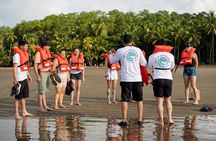 Bahia Ballena Whale and Dolphin Tour - Morning
