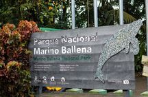 Bahia Ballena Whale and Dolphin Tour - Morning