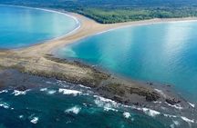 Bahia Ballena Whale and Dolphin Tour - Morning