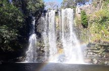 Private Tour to Llanos de Cortés Falls and Rainforest