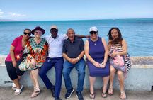 3 Hours Private Tour in Montego Bay From Falmouth