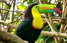 Private Tour to Llanos de Cortés Falls and Rainforest