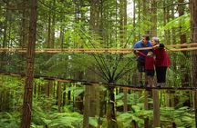 Rotorua Highlights Tour from Auckland with Optional Extras