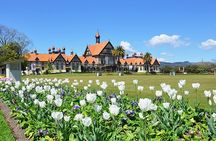 2 Day Tour in Auckland Hobbiton, Waitomo, Rotorua and Taupo