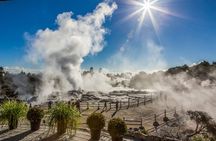 Rotorua Highlights Inc. Te Puia & Secret Spot Hot Tubs Day Tour
