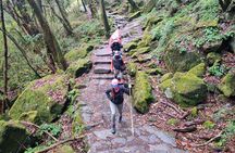  Kathmandu to Annapurna Base Camp Trek 7 Days Tour