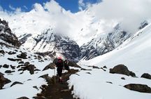  Kathmandu to Annapurna Base Camp Trek 7 Days Tour