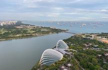 Private Tour Singapore Nighttime sightseeing + River Cruise(Max6)
