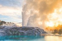 Waitomo Caves & Rotorua + Te Puia Small-Group Tour from Auckland