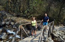 7 Day Trekking Tour from Kathmandu to Langtang Valley