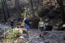 7 Day Trekking Tour from Kathmandu to Langtang Valley