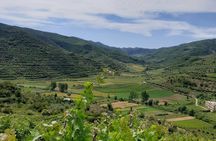 Berat 4x4 Off-Road and Vineyard Wine Tasting