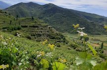 Berat 4x4 Off-Road and Vineyard Wine Tasting